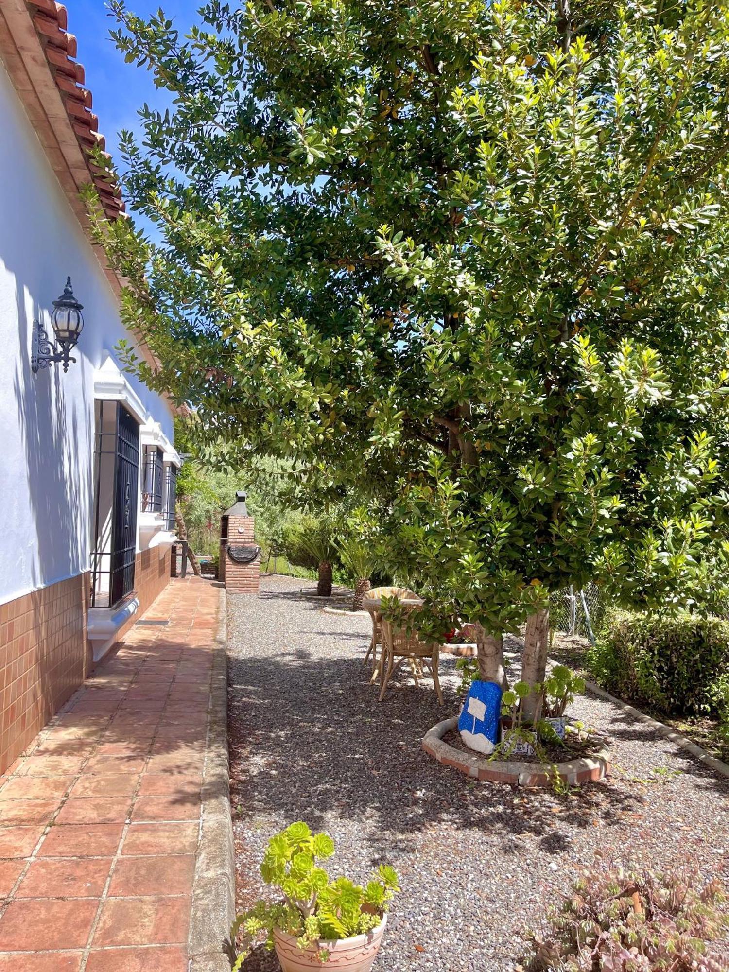Finca Rural Mazuqueto Jubrique Bagian luar foto
